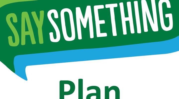 Say Something Plan 