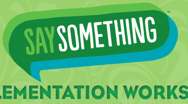 Say something logo in dark green chat bubble with a light green background. 